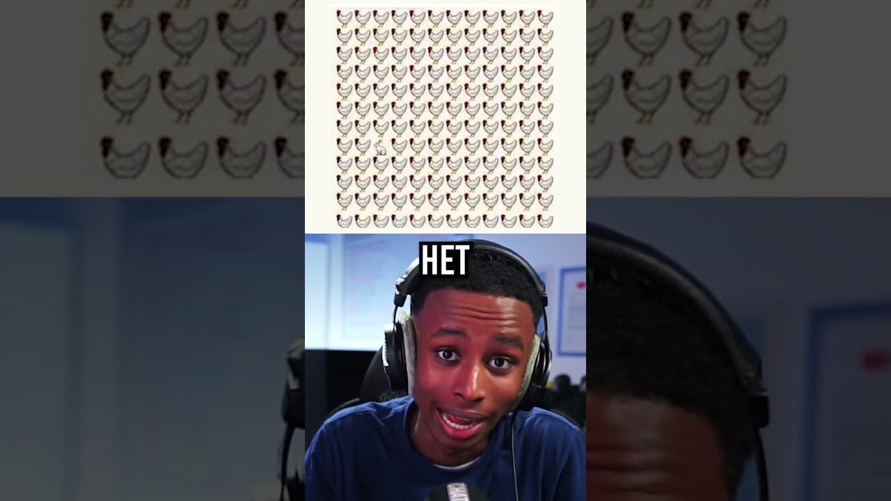 Kan Jij Het Vinden? 👀