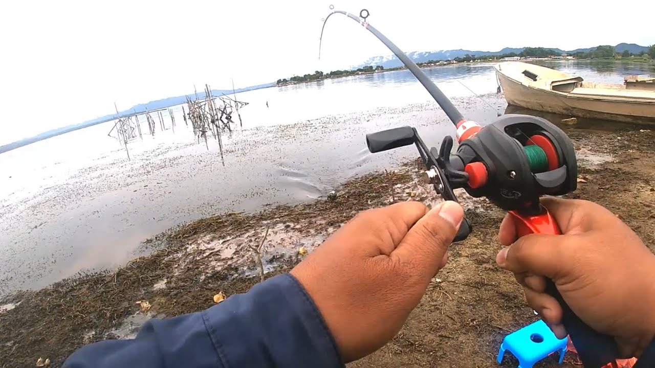 Akhirnya Bisa Juga Strike Ikan Gabus Monster Danau Toba