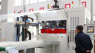 TQC 750 Plastic pallet thermoforming machine with robot