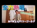 全力であいみょんのマリーゴールド歌ってみた！