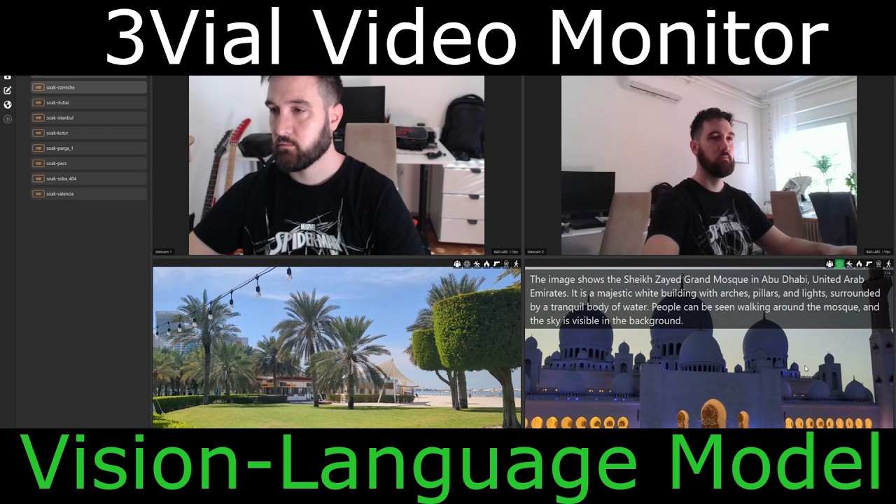3Vial Video Monitor - Vision-Language Model Analytics