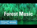 Forest Music: Relax Moods for Calm Morning - Music for Relaxing, Stroll, Work & Study