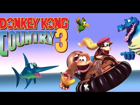 #5 Donkey Kong Country 3 final