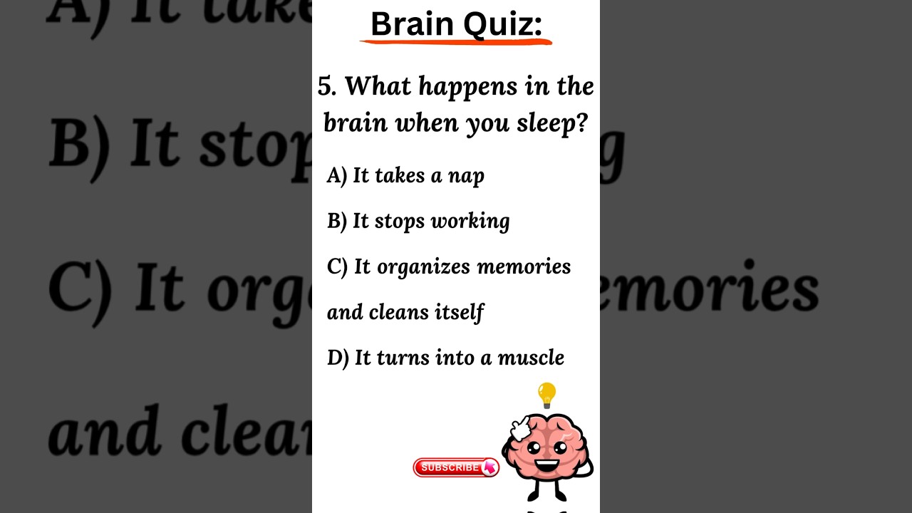 Brain’s sleep?🧠 | quiz time | Little stars 🌟 