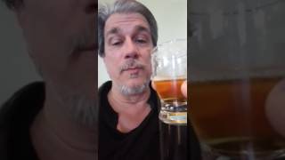 Tap Chatter RVTR El Segundo Mayberry IPA