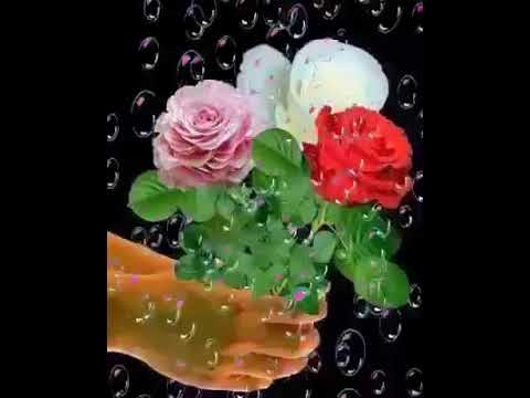 قم قم يا اخى الله أكبر الله أكبر 