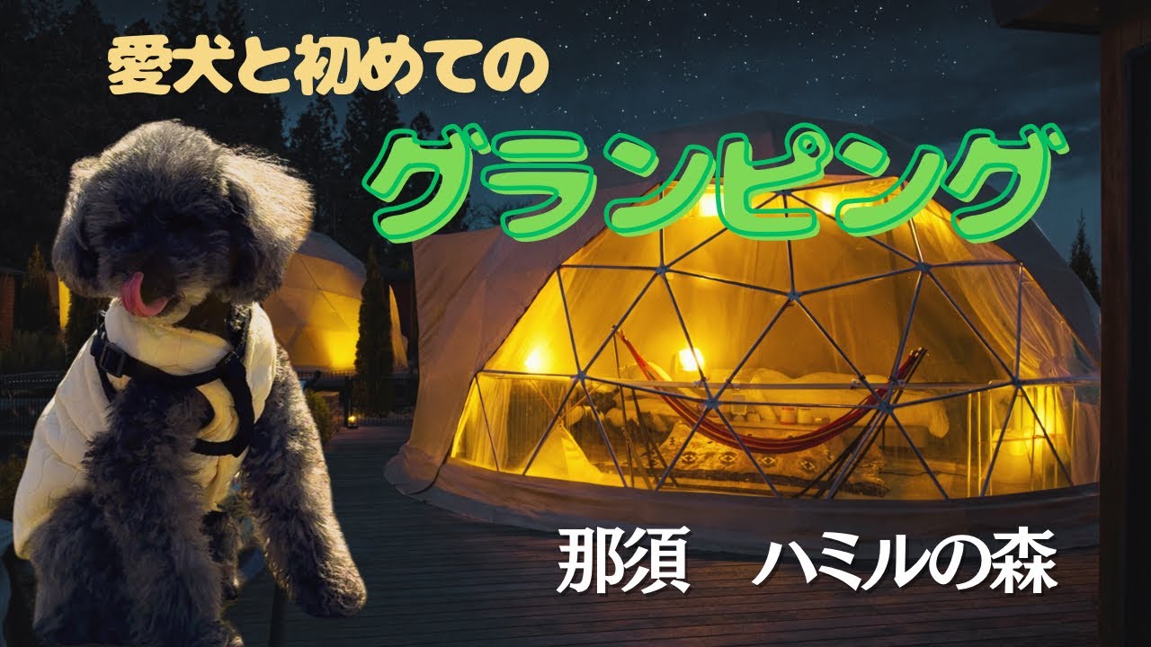 わんこと初のグランピング！1泊2日の那須旅行！【DAY1】