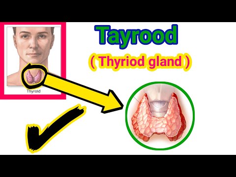 Qanjirka Tayroodka Thyriod Gland Calaamadaha Lagu Garto Marka Uu Xanuun Asiibo