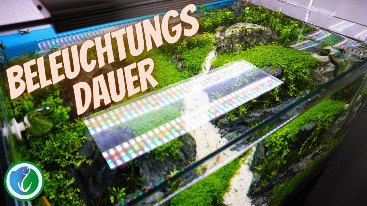 Update Beleuchtungsdauer im Aquarium und ist eine Mittagspause sinnvoll? TSVideos-Aquaristik