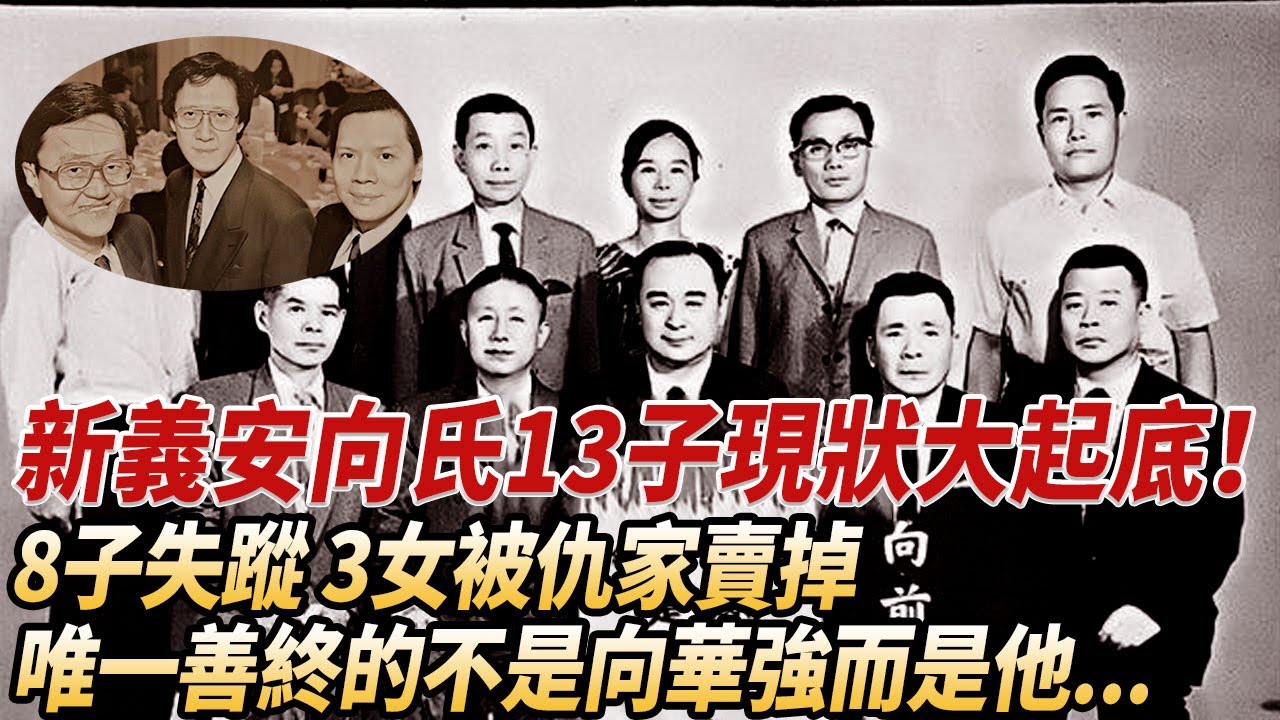 血色王朝新義安向氏13子現狀大起底！有人搶地盤失敗被剁成肉泥，有人被仇家斷手斷腳，龍頭千金人間蒸發30年，唯一善終的只有向華強...#酒池肉林錄#人物傳記#香港#黑幫#向華強