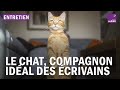 Le chat source dinspiration infinie des crivains