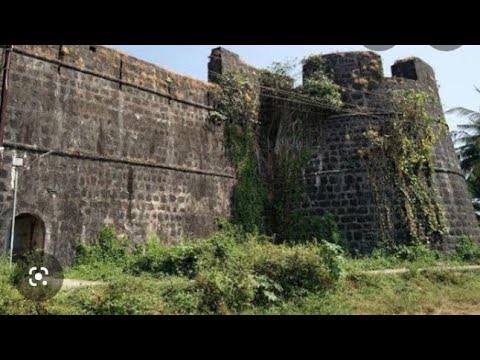अरनाला पंचायत समिति सदस्य चंद्रकांत मेहर ने मौजूदा सरपंच पर लगाए गंभीर आरोप घोटाले का हुआ भंडाफोड़