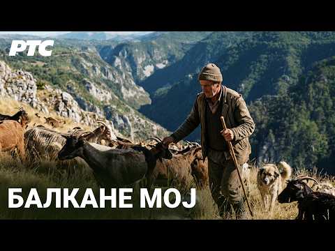 Život nomadskih stočara u Albaniji | Sasvim prirodno (Jovan Memedović)