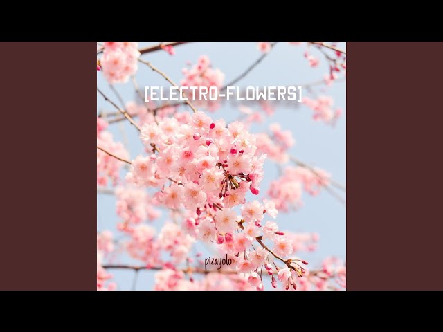 Pizayolo - coconut milk