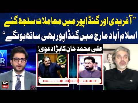 Sohail Afridi and Gandapur on the Same Page? Ali Muhammad Khan Speaks Out