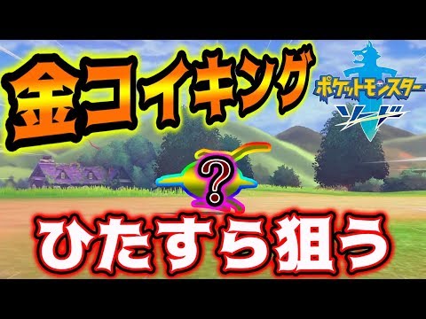 剣 金 ポケモン コイキング 盾 の