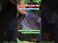 ज़्यादा प्रॉफिट वाला माल ऐसे प्रॉफिट वाले माल लेने के लिए हमसे संपर्क करें और चैनल को सब्सक्राइब करे
