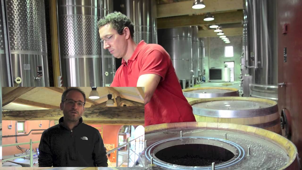 La vinification des vins rouges au Domaine de l'Arjolle