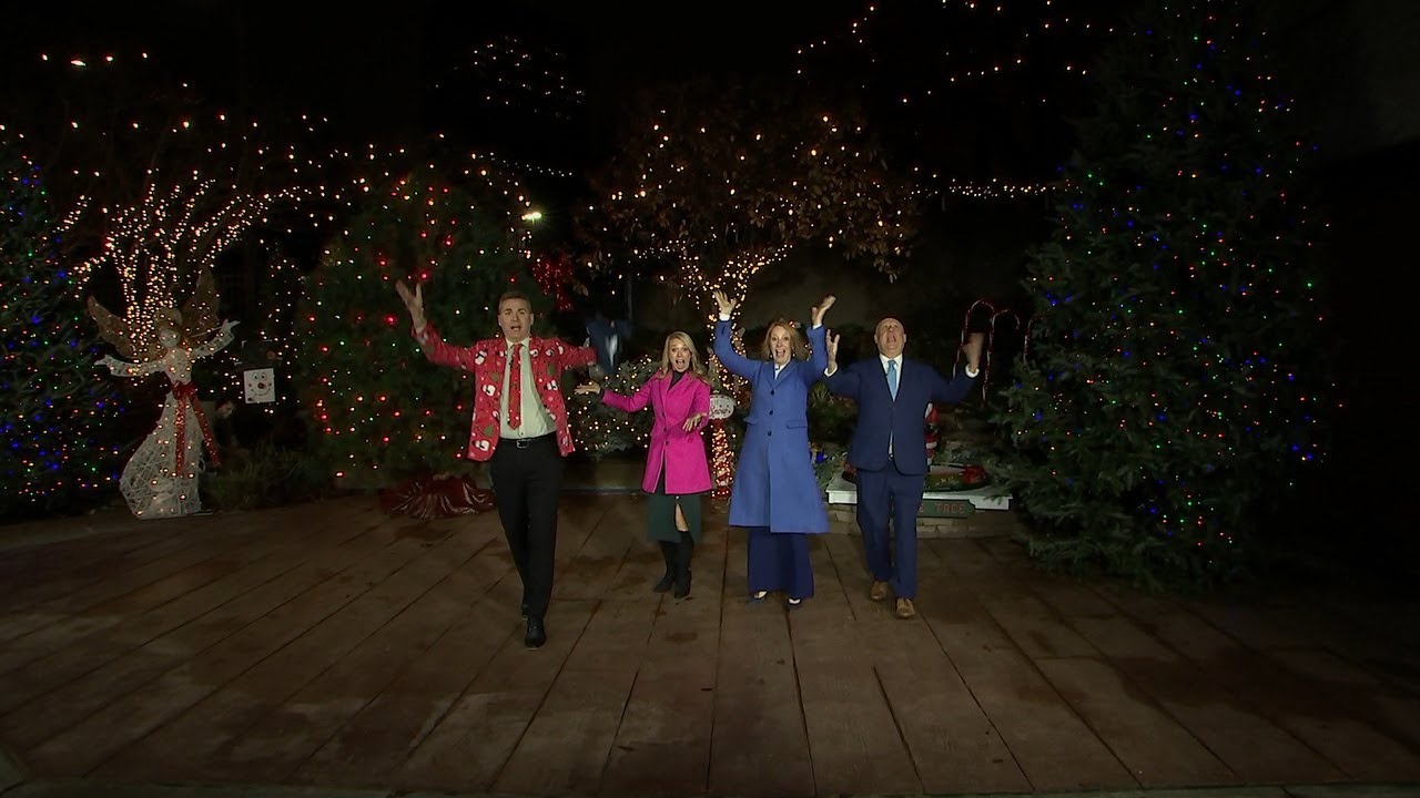 The weather garden comes to light on the first day of Jude's Jingle Tree