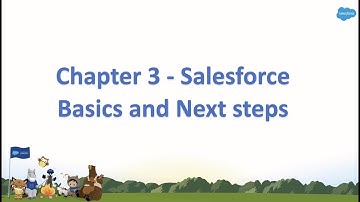 Chapter 3 - Salesforce Basics and Next steps in Hindi || Salesforce Tutorial