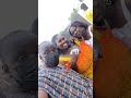 'My problem' is finally gone. Gonna miss you, Mary Naa Densua Smith. #MobileVideographer