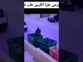 القطه بترمي عليا الكيس طب تعالي بقا القطه بترمي عليا الكيس طب تعالي بقا
