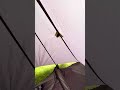 GEAR PORN, Yama Mountain Gear, Tapered Tarp