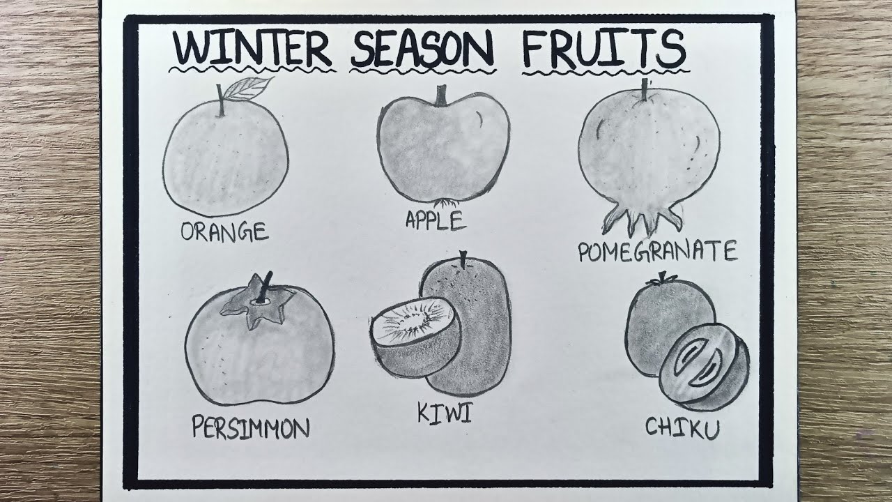 Fruits drawing | Winter season fruits drawing | Easy fruit drawing | Winter fruits 