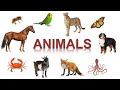 Животные по-английски [Animals - English Vocabulary Flashcards]