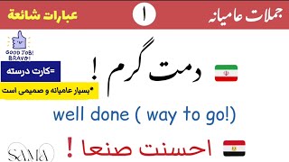 عبارات اللغة الفارسية الأكثر شيوعا ( Common Persian phrases ) آموزش زبان فارسى