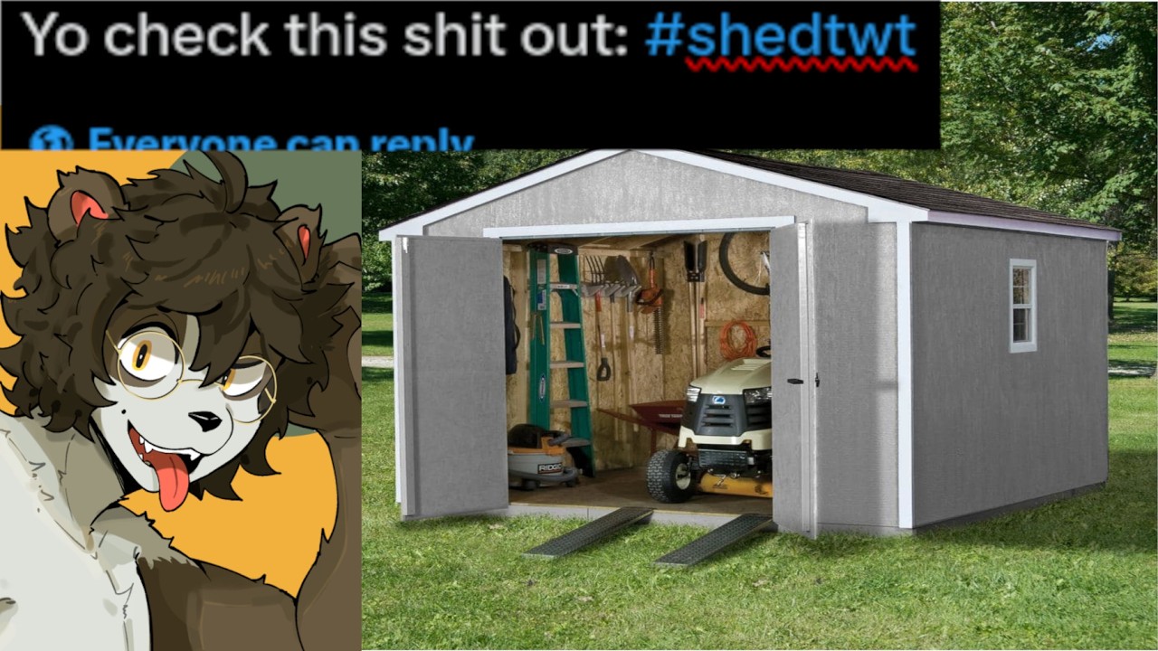 Funnt Shed Posting my cool new shed to shedtwt - YouTube