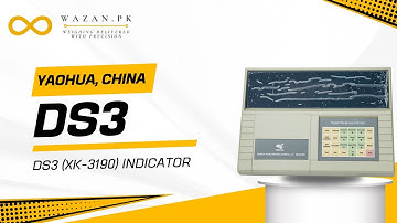 YAOHUA, CHINA (DS3 Indicator)