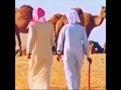 انا لازهمني صاحبي قالت لبيه كلمات بدر غازي اداء العذب 