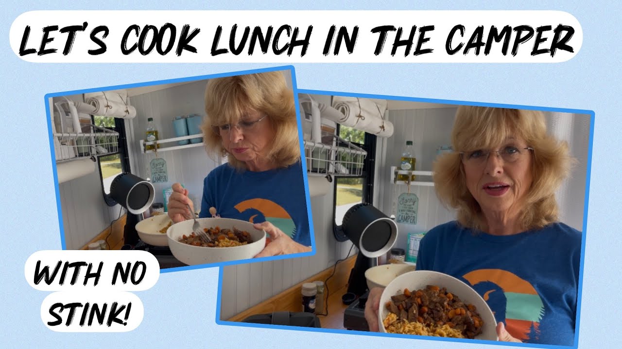 Camper Cooking with NO Odor in! In Aobosi Desktop Range Hood (15%off link)