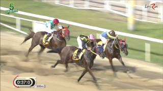 20160806 렛츠런파크 부산경남 5경주 1000m