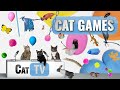 Jeux de chat  compilation ultime de cat tv vol 30  2 heures 