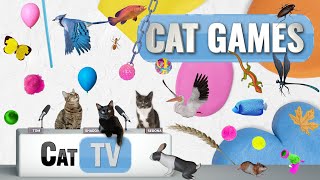 Juegos GATO | Compilación definitiva de Cat TV Vol 30 | 2 HORAS 🐝🐞🦋🦎🦜🐜🐭🧵 screenshot 3