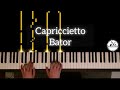 Capriccietto - Szidor Bator