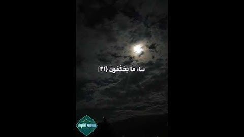 #اكسبلور #duet #القارئ محمد أشرف #المصحف #خشوع #ترند #راحة_نفسية #حالات_واتس #لايك #اكسبلور #دويتو
