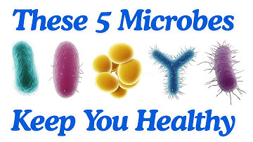 These 5 Microbes Could Change Your Health