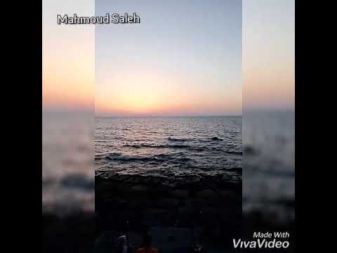 ازاي يابحر احمد عامر حالات واتس
