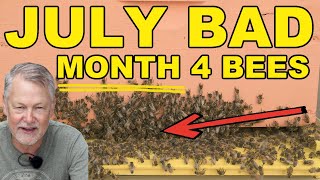 Beekeeping: Safeguarding Your Bees from July's Challenges