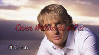Owen Wilson as a Cat repost