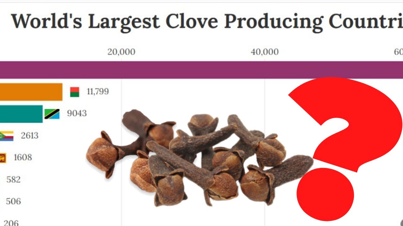 World's Largest Clove Producing Countries YouTube