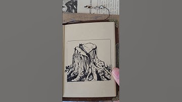 Quick sketch of a tree trunk | speed drawing in ink #inkdrawing #quicksketch