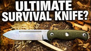 The BEST Budget Survival Knife? | Kizer Drop Bear 7 Review & Test