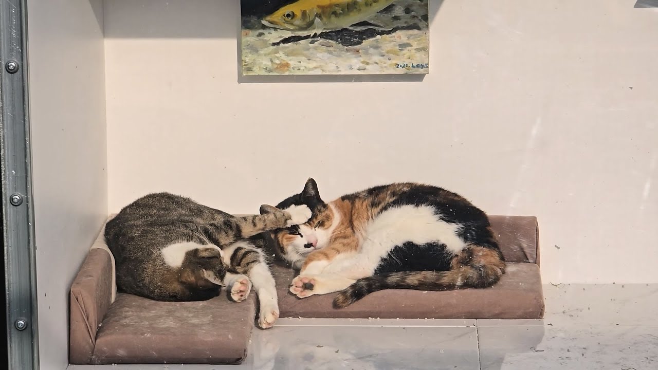 두 눈을 의심했다