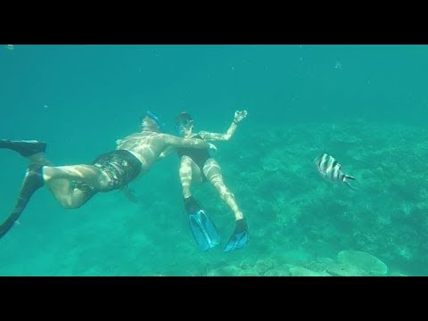 BLUEWATER SAILING ISLANDS in Fiji Ep 16