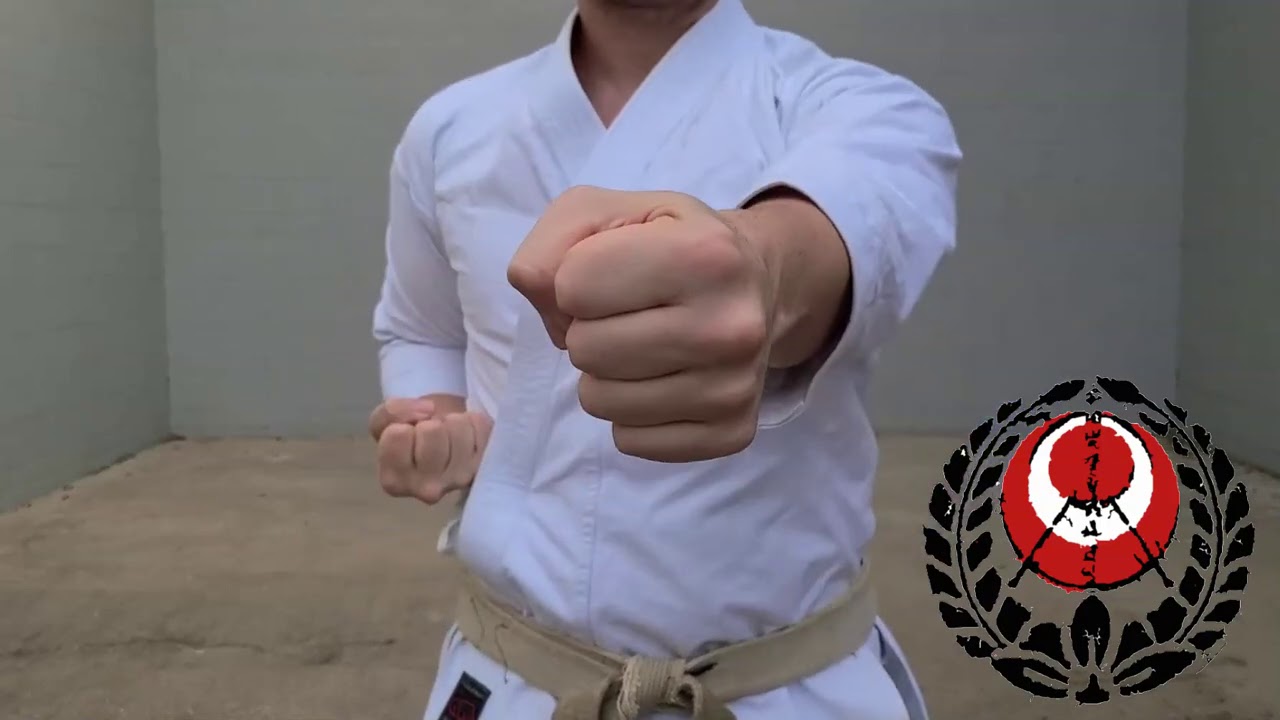Karate Moves TATE TSUKI Vertical Fist Punch YouTube