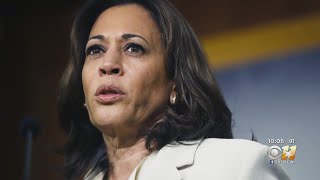 DFW Area Political Party Leaders React To Joe Biden Choosing Kamala Harris As Running Mate